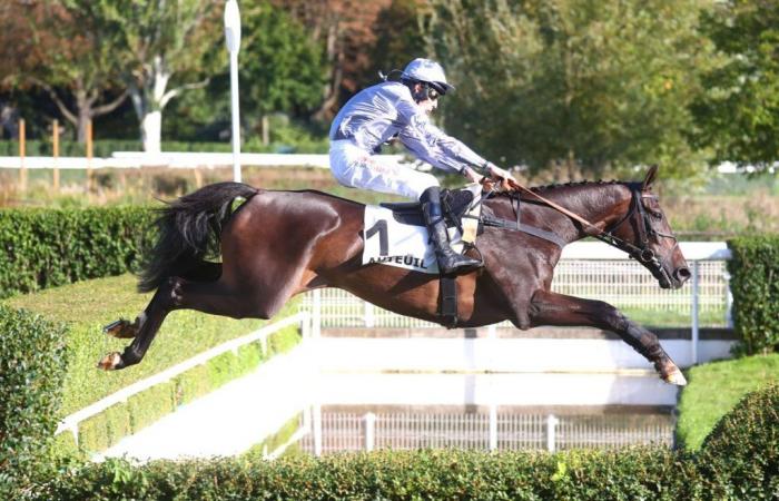 Il Est Français wins the Hennessy Prize and heads towards La Haye Jousselin