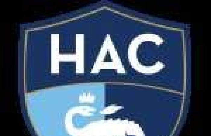 A hat-trick from Jonathan David brings smiles back to LOSC – Ligue 1 – J6 – Le Havre-Lille (0-3)