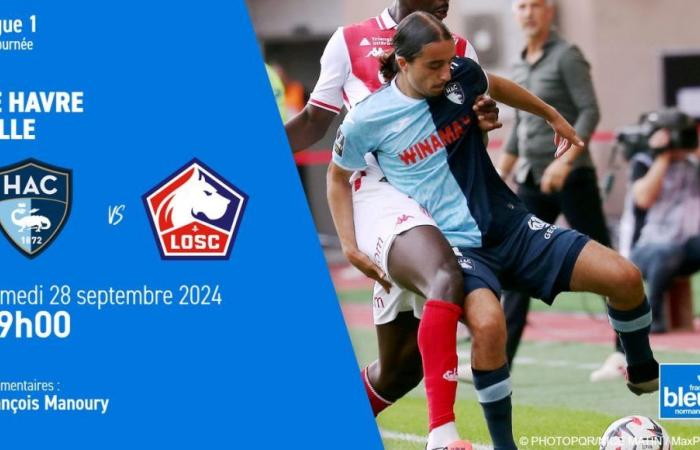 LIVE – Ligue 1: Le Havre AC hosts Lille OSC, follow the 6th day on France Bleu Normandie