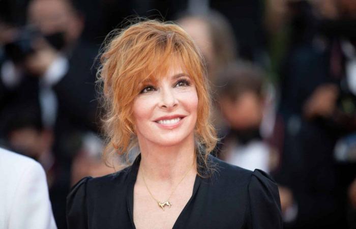 Mylène Farmer at the Stade de France: Seal arrives on stage and surprises the singer’s fans