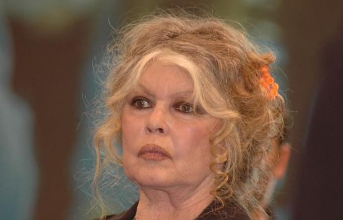 for her 90th birthday, Brigitte Bardot only dreams of one thing, calm