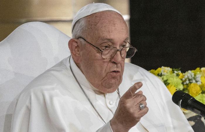 Abortion, a “murderous” law according to the Pope: “We must respect this word, hear it”, says a bishop