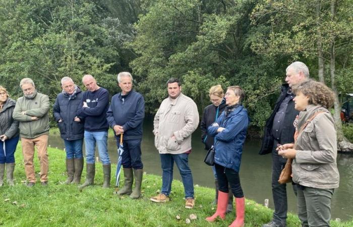 “We must simplify the procedures”, farmers in the Somme await answers after the floods