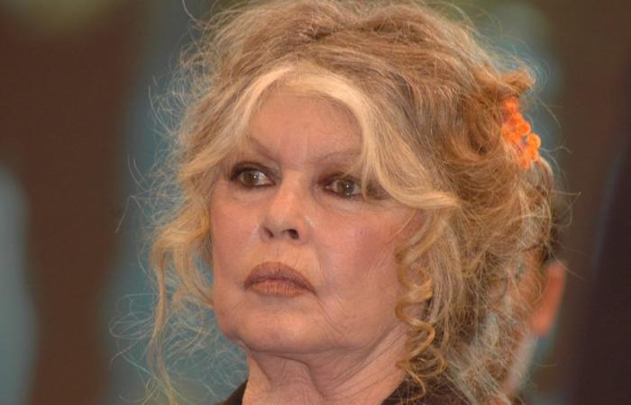 “They will end up making me die”: Brigitte Bardot celebrates her 90th birthday, a birthday she “dreads”