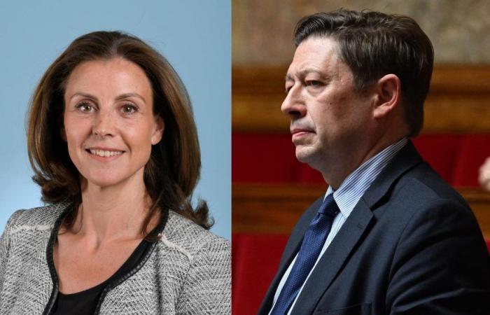 who are the two new government ministers?