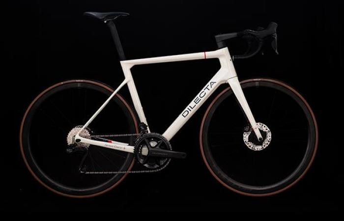 New Grammont, the first carbon in the Dilecta family