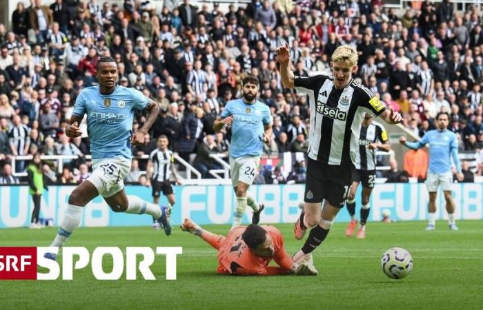 Football from the top leagues – Newcastle fights for a point against ManCity – Sport