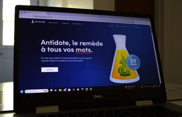 Access to Antidote Web will be restored