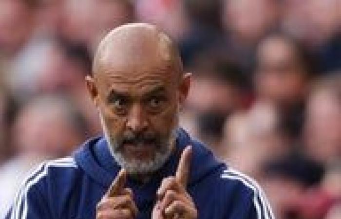 Nuno Espirito Santo says referee ‘did not do a good job’ in Nottingham Forest loss to Fulham