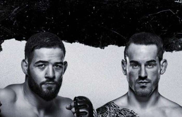 Nassourdine Imavov – Brendan Allen: at what time and on which channel to watch the UFC fight live?