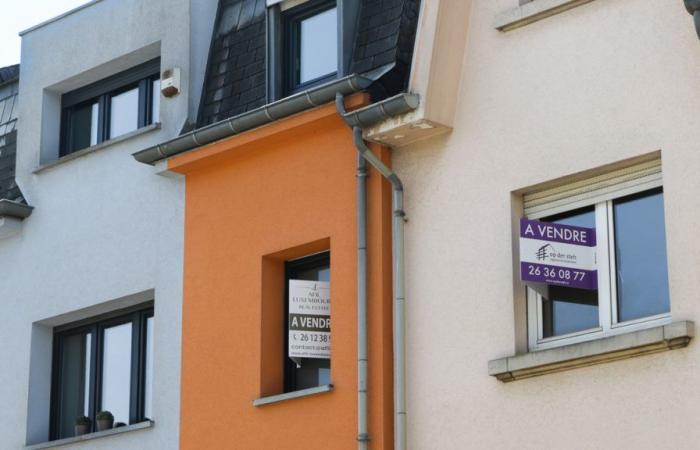 RTL Infos – Apartments, houses…: Housing prices continue to fall in Luxembourg