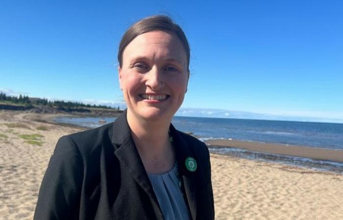 Environment: what solutions are the parties campaigning in New Brunswick proposing? | New Brunswick Elections 2024