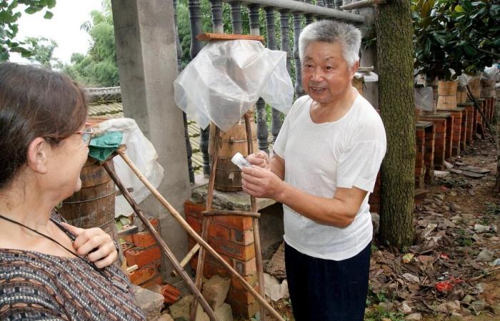 when “Sud Ouest” followed the Chinese trail of the first hornet to arrive in France via Lot-et-Garonne