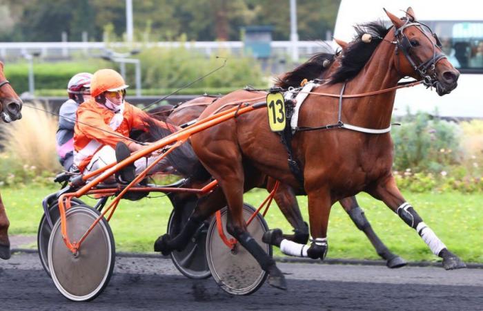 PMU – Arrival of the quinté on Sunday September 29 at Paris-Vincennes: Ister Man with authority.