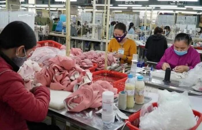 Vietnam seeks to secure supplies of textile and leather materials