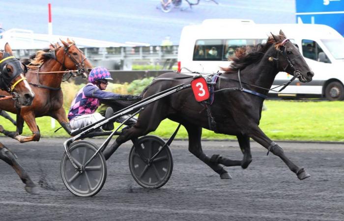 Happy Danica, a sixth Parisian victory