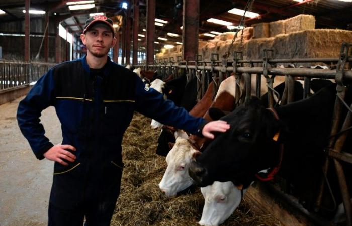 In the Vosges, the dismay of dairy producers faced with the withdrawal of Lactalis