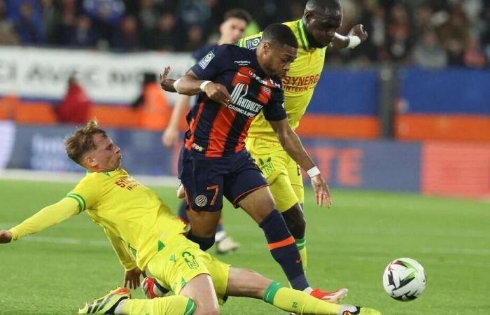 FC Nantes – AS Saint-Etienne. The probable compositions. Sport