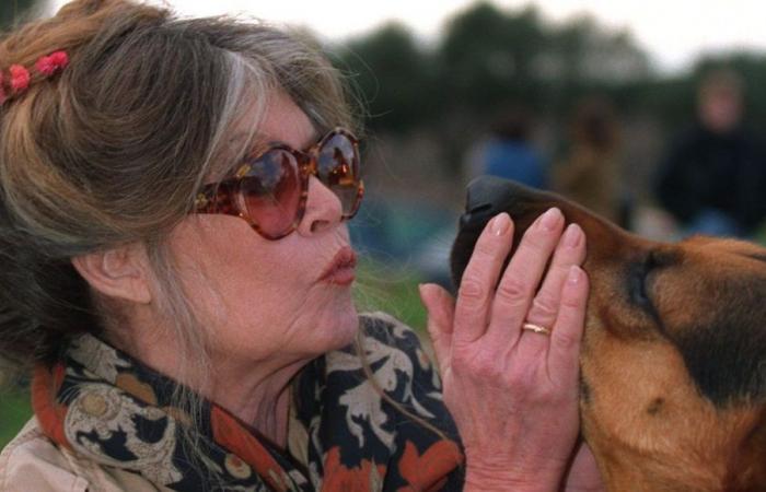 Animal protection: Brigitte Bardot salutes the work of the teams at the Refuge de l’Arche in Château-Gontier-sur-Mayenne