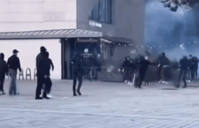 VIDEO. Brawl on the sidelines of the meeting between FC Lorient and AC Ajaccio