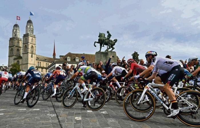 “Cycling has become a sport for the rich! », alerts Marc Madiot, former president of the League