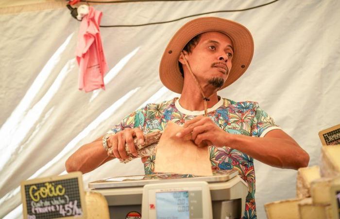 Cheese, jewelry, lingerie… The Saint-Michel fair is back in Nîmes