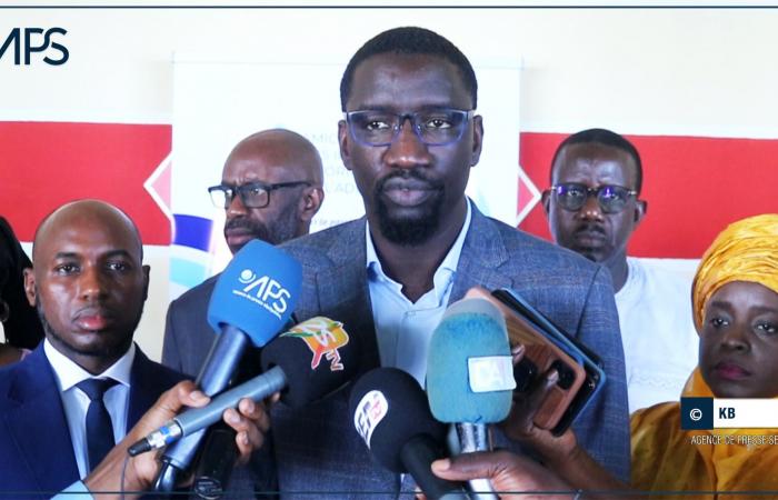 SENEGAL-TIC / The AIIA ready to support the “digitalization of procedures and services to users” – Senegalese press agency