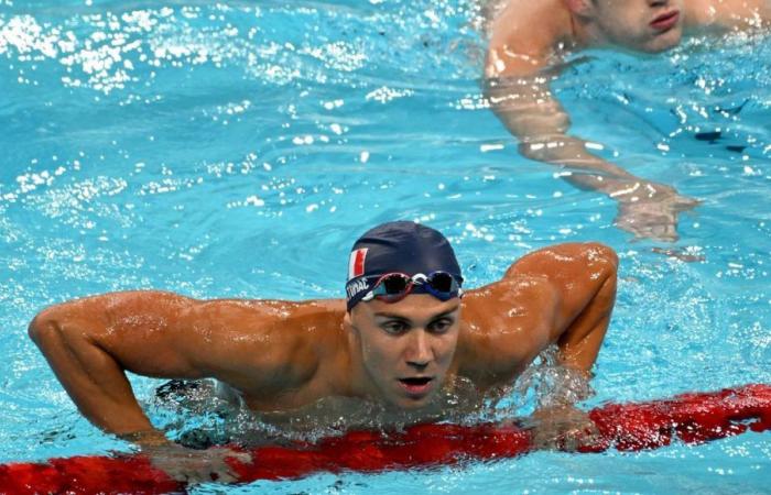 Swimming: former Amiens Mewen Tomac has postponed his American dream