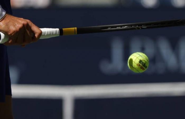 Rakuten Japan Open Tennis Championships Betting Odds and Match Previews for Sept. 29, 2024, Men’s Singles