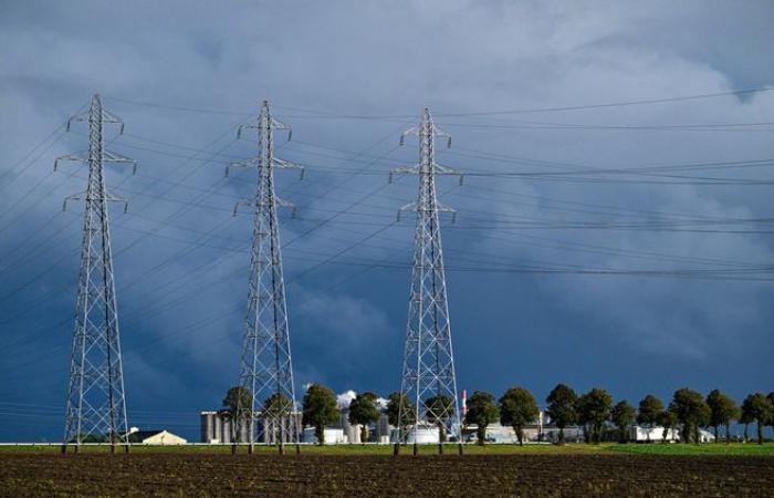 Giant power outage, quack at the Tour d’Eure-et-Loir, an Eurélienne elected Miss Centre-Val de Loire… The essential news from September 23 to 29, 2024