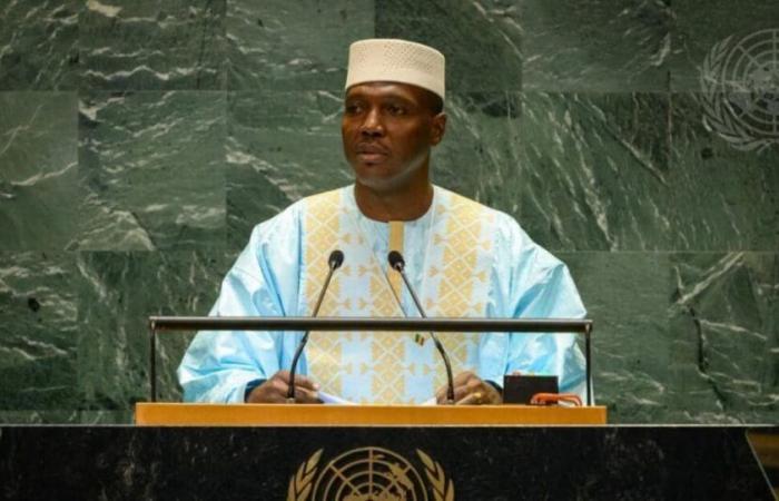 When the Deputy Prime Minister of Mali Abdoulaye Maïga calls Algerian diplomats “diplomatic fanatics” at the UN