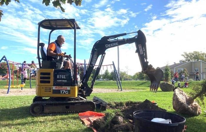 A future forest planted in a Vanier schoolyard