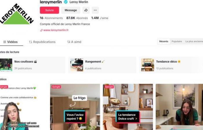 How Leroy Merlin exploded on TikTok – La Réclame