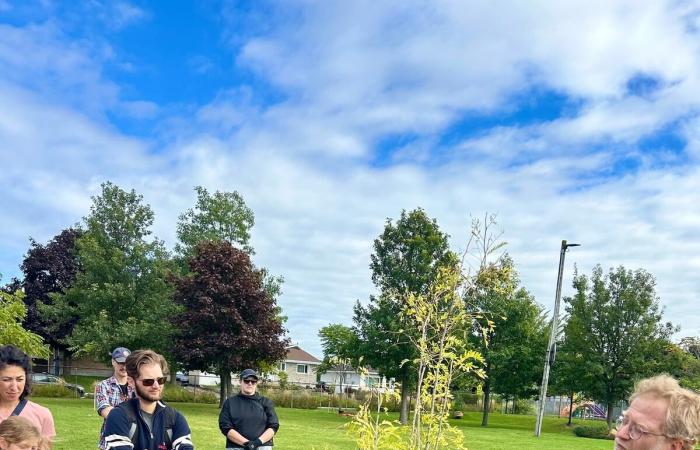 A future forest planted in a Vanier schoolyard