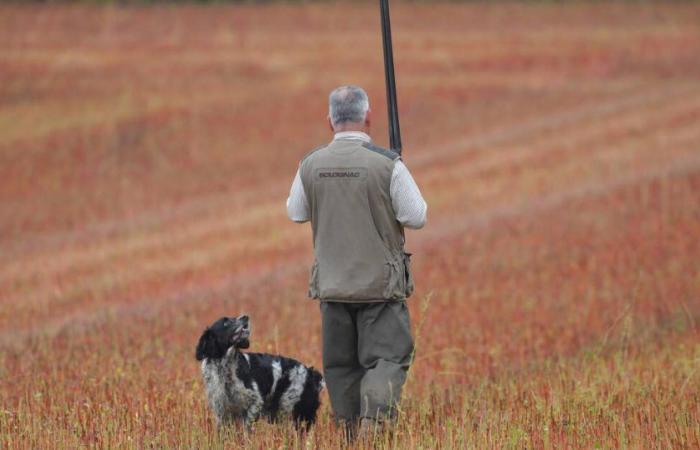 a hunter killed by a bullet in the head during a wild boar hunt – Libération