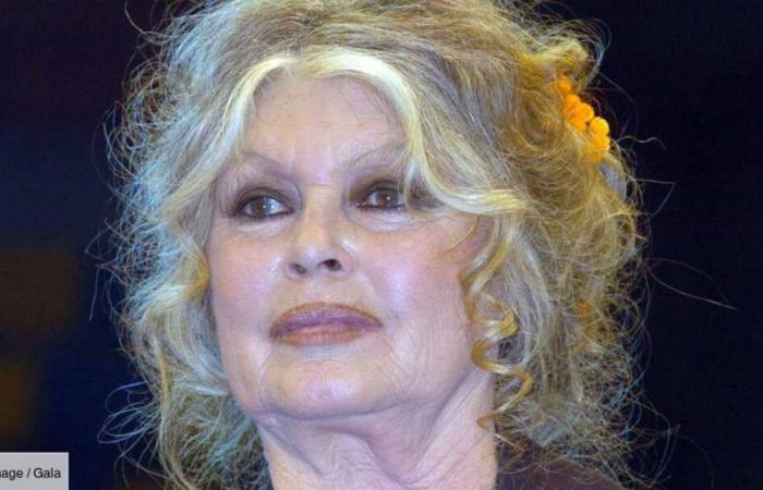 Brigitte Bardot: these “tons” of letters and gifts received for her 90th birthday