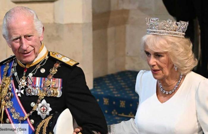 Charles III wanting to see Prince Harry? Camilla is against it!