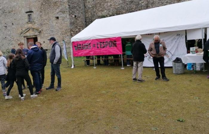 More than 500 hikers at the Virades de l’Espoir in Montmort-Lucy