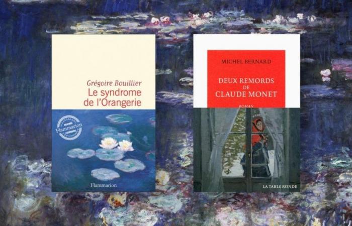 “Grégoire Bouillier did more than take inspiration from my book, he used it”