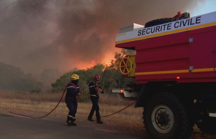 REPORTING. Cascading fires in the North, like in Poum commune very affected by drought