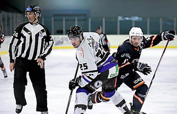 The Montpellier Vipers say goodbye to the Coupe de France before starting the championship