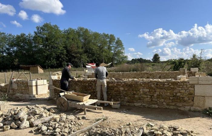 In Gironde, an 11th century cathedral rises from the ground thanks to a hundred volunteers