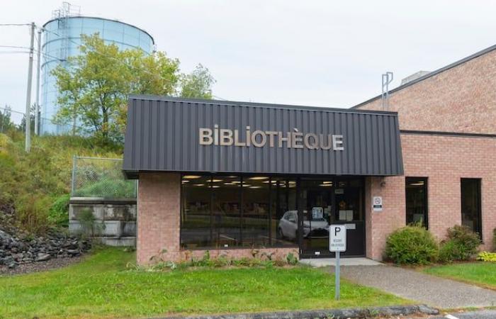 Sherbrooke’s libraries are pitiful