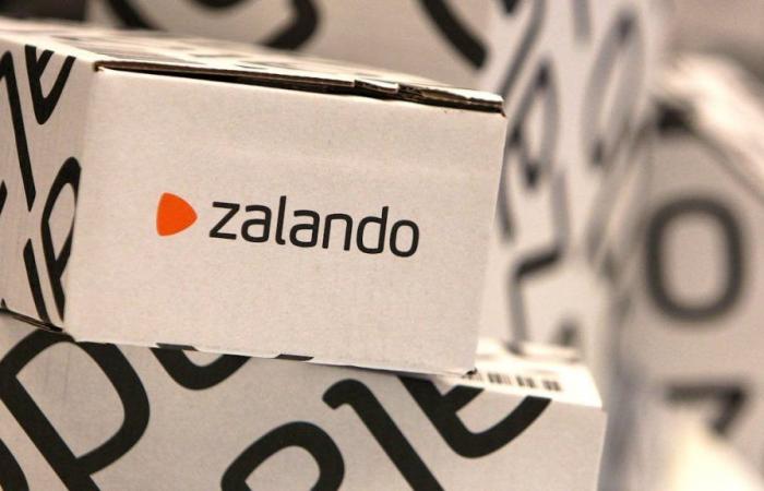 Zalando lets go of a subcontractor in Switzerland: 350 jobs cut