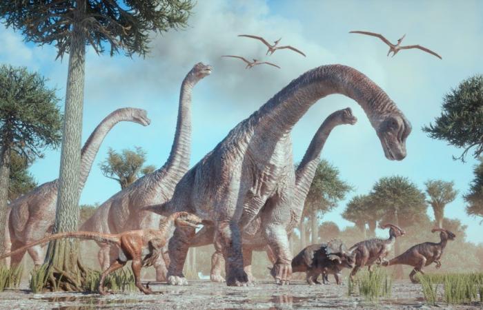 Dinosaur study challenges Bergmann’s rule