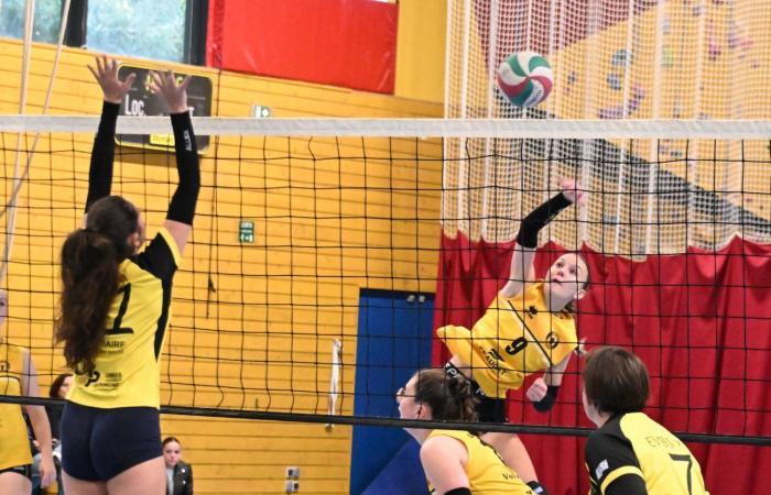 VOLLEY BALL (Pre-national): The women of Le Creusot beaten by Sochaux – Beaucourt