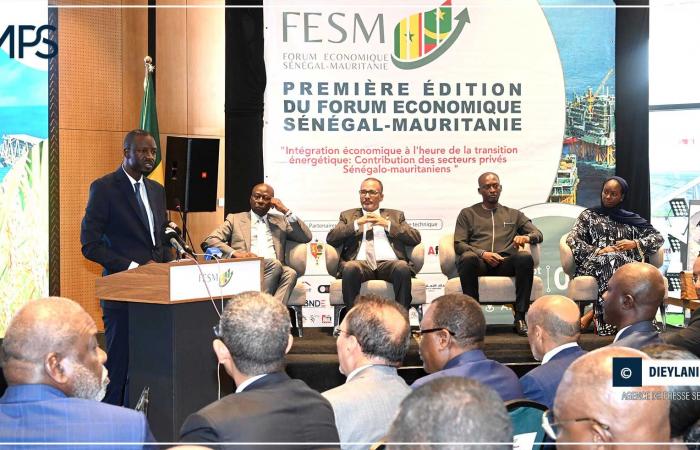 SENEGAL-AFRICA-COOPERATION / Commercial exports from Senegal to Mauritania increase from 39.7 to 112.8 billion in four years (minister) – Senegalese press agency