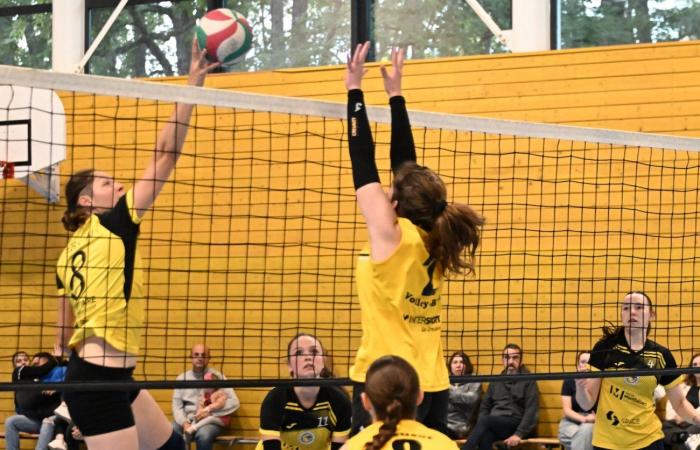 VOLLEY BALL (Pre-national): The women of Le Creusot beaten by Sochaux – Beaucourt