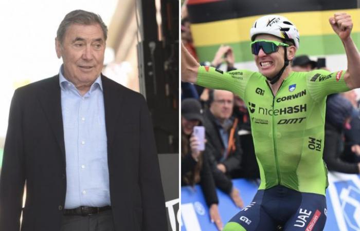 Cycling. Road – Worlds – Eddy Merckx: “Pogacar? Me, I didn’t attack at 100 km”