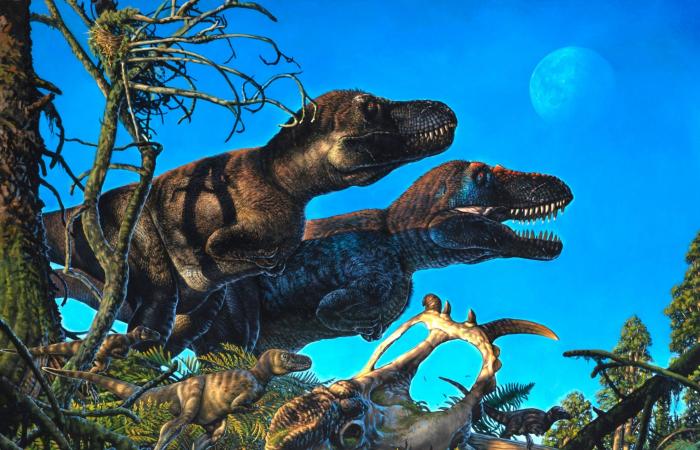 Dinosaur study challenges Bergmann’s rule